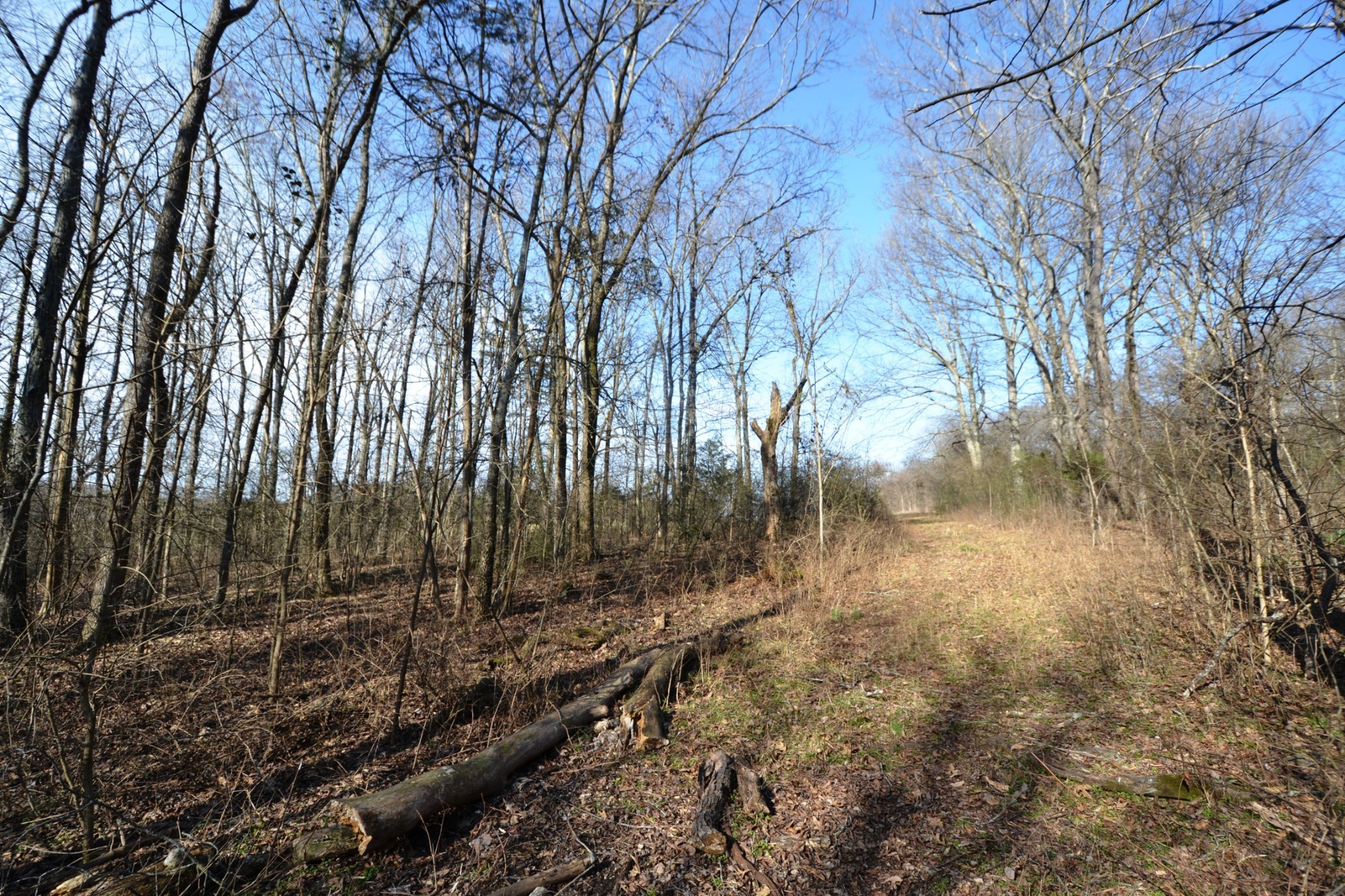 1 Corinth Road Mount Juliet, TN 37122 - Photo 71 of 77