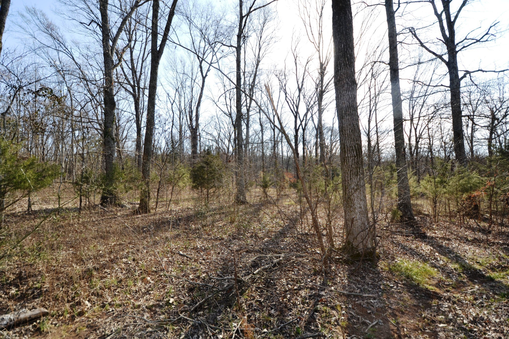 1 Corinth Road Mount Juliet, TN 37122 - Photo 72 of 77