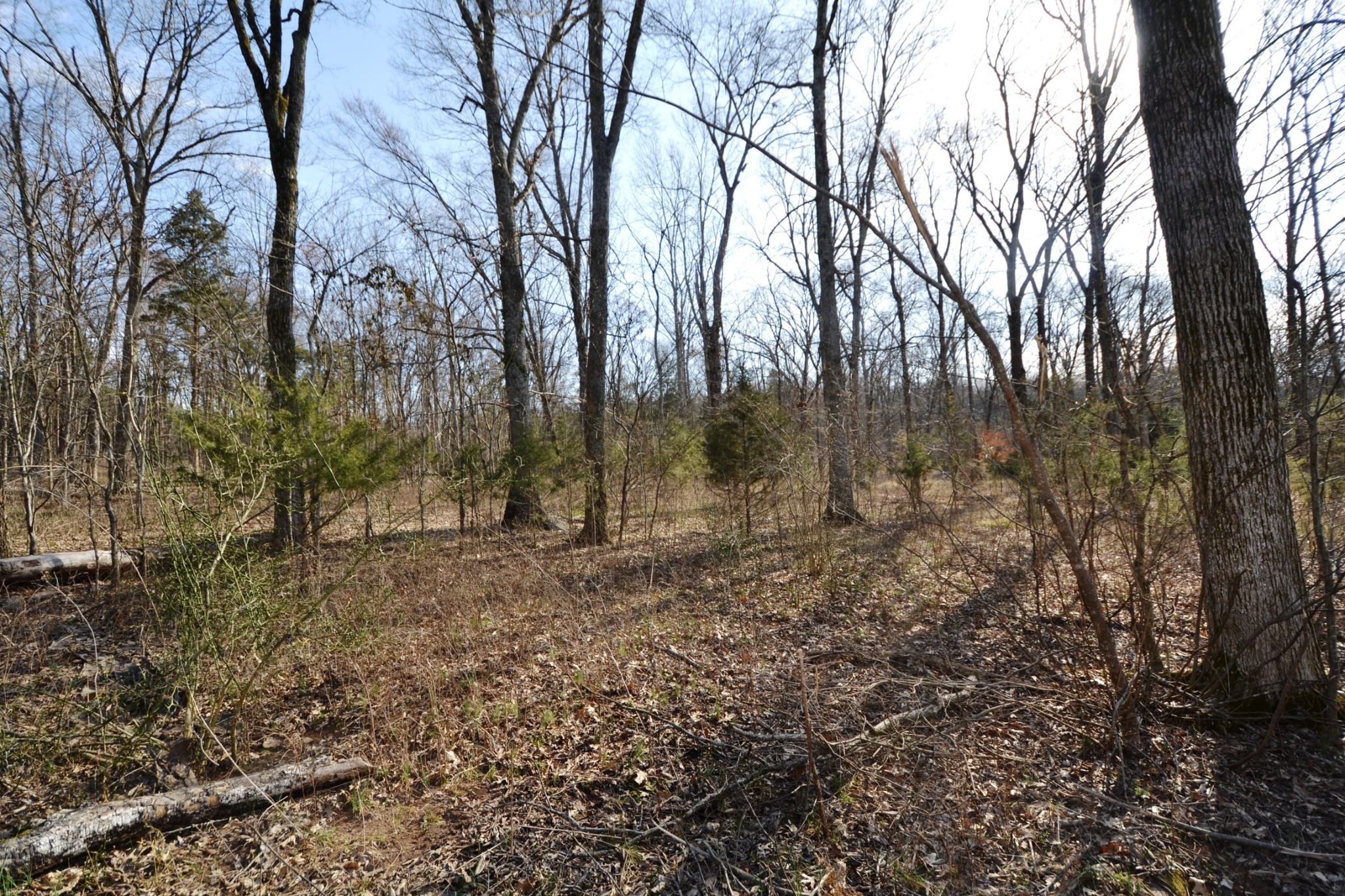 1 Corinth Road Mount Juliet, TN 37122 - Photo 73 of 77