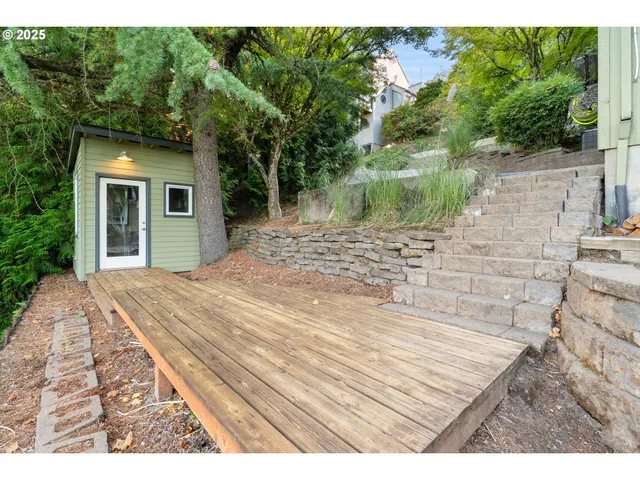 a view of a backyard with plants and large trees