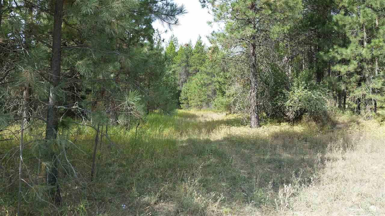 North Madison Road Elk, WA 99009 - Photo 1 of 10