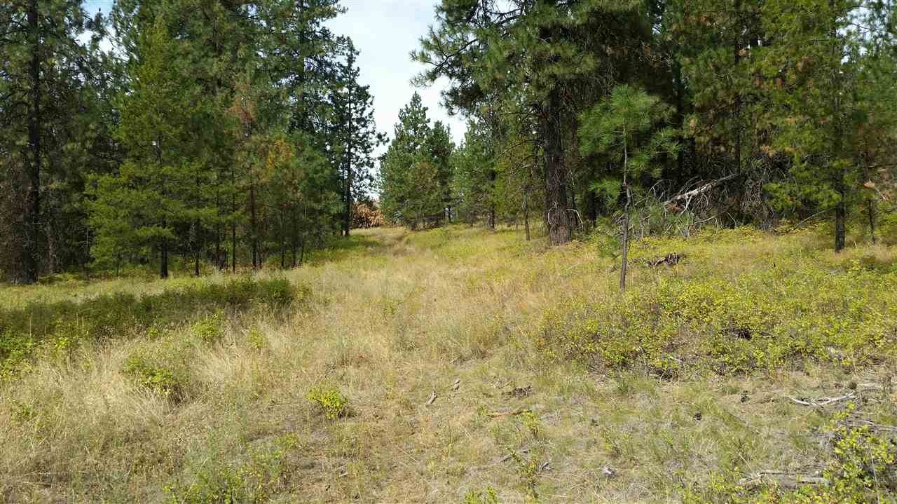 North Madison Road Elk, WA 99009 - Photo 3 of 10