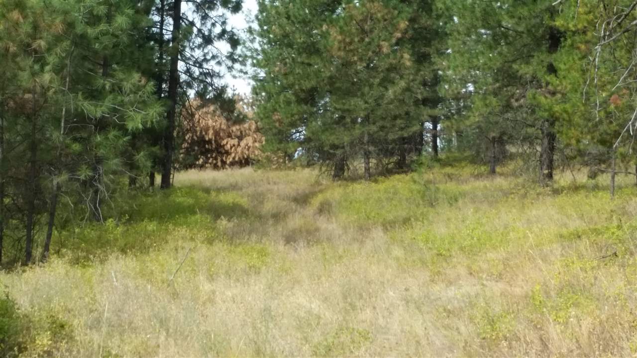 North Madison Road Elk, WA 99009 - Photo 4 of 10