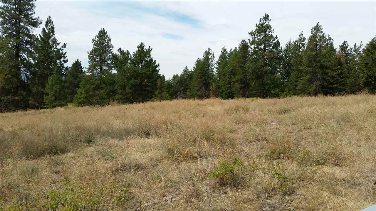 North Madison Road Elk, WA 99009 - Photo 5 of 10