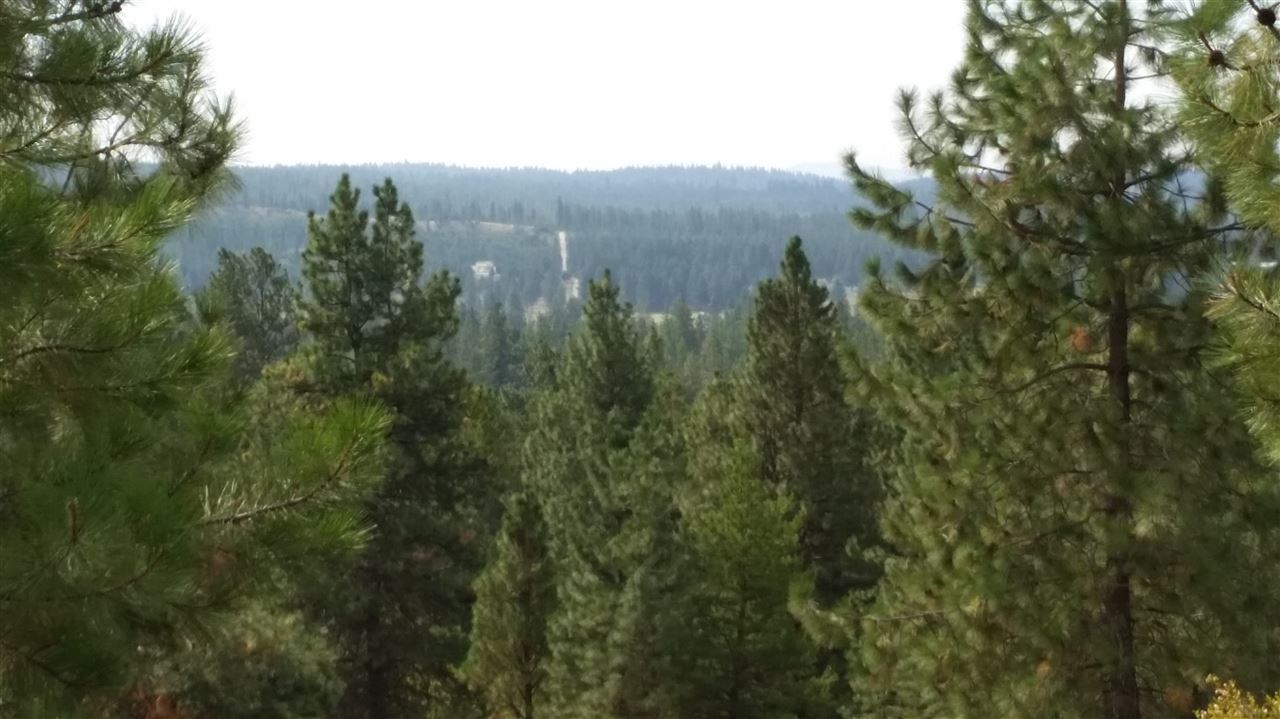 North Madison Road Elk, WA 99009 - Photo 10 of 10