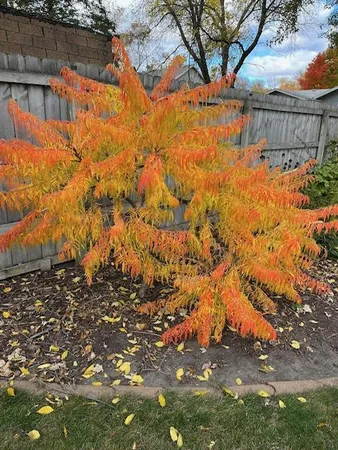 $345,000 | 941 Mary Avenue Southeast, Willmar, MN 56201