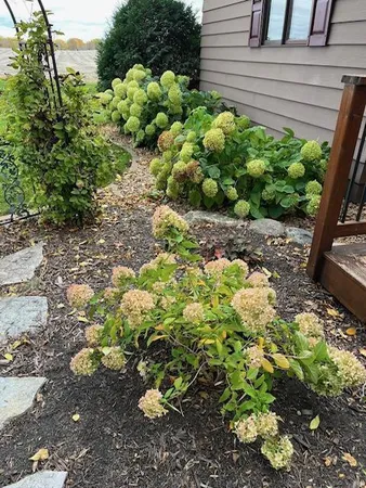 $345,000 | 941 Mary Avenue Southeast, Willmar, MN 56201