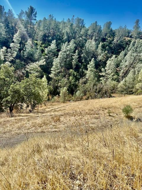 6883 Navajo Point Corning, CA 96021 - Photo 2 of 6 a view of a yard with a tree