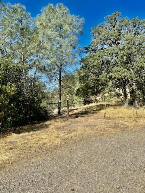 6883 Navajo Point Corning, CA 96021 - Photo 3 of 6 a view of a yard with an trees