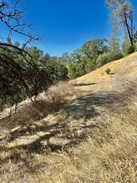 6883 Navajo Point Corning, CA 96021 - Photo 5 of 6 a view of a yard with a tree