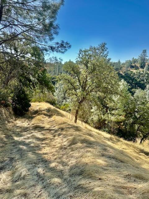 6883 Navajo Point Corning, CA 96021 - Photo 6 of 6 a view of outdoor space and yard