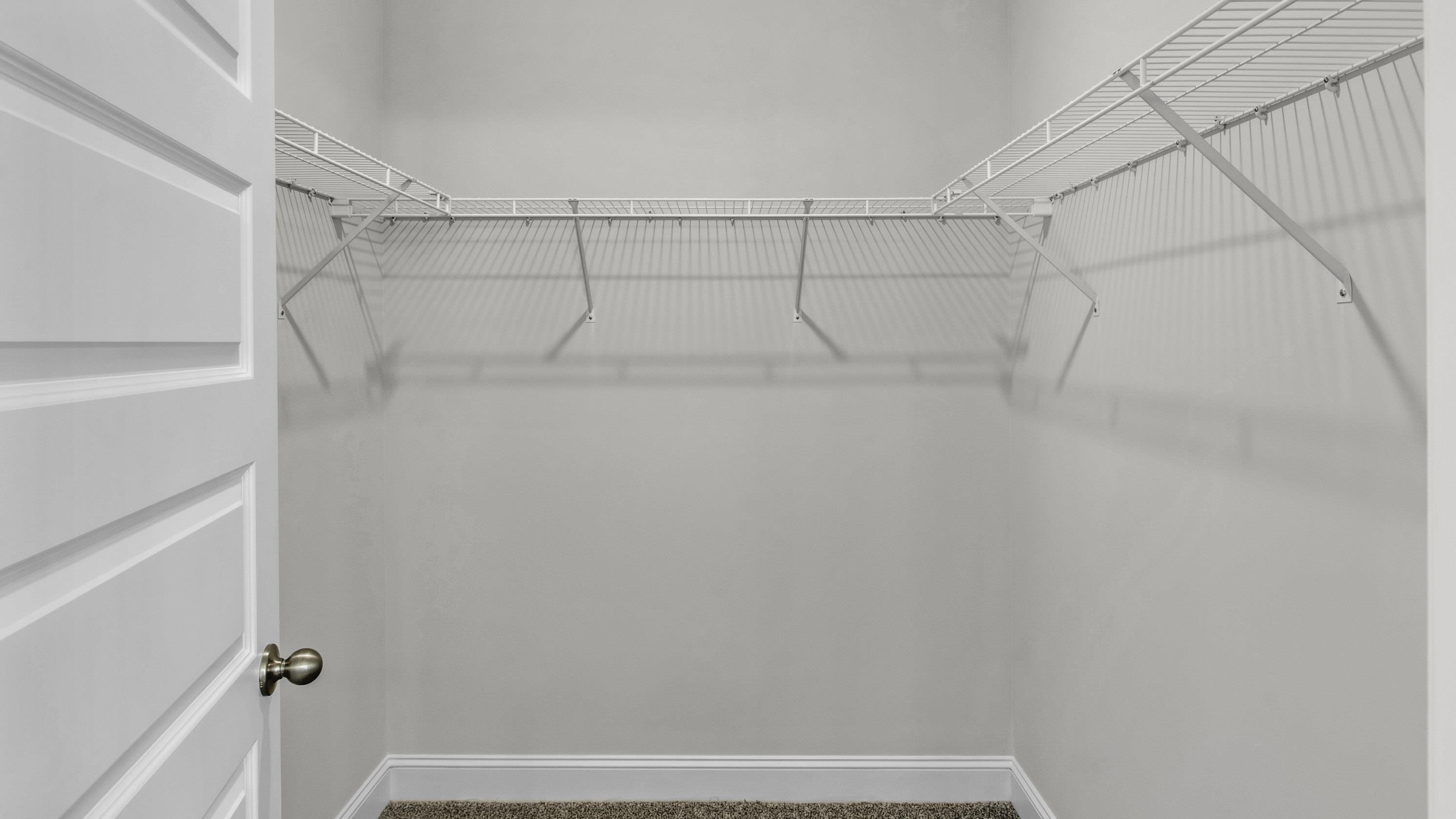 990 Mewborn Farm Road Oakland, TN 38060 - Photo 20 of 40 Walk in closet featuring carpet flooring
