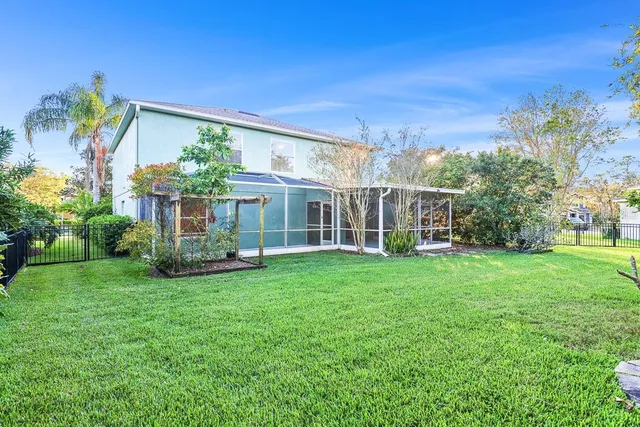 a view of a garden with a tree