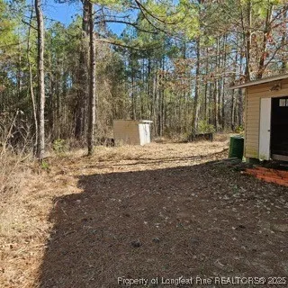 a view of dirt yard with a large tree