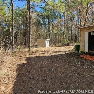 a view of dirt yard with a large tree