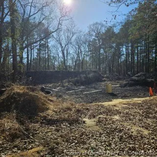a view of a fire pit with large trees