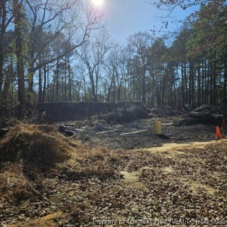 737 Vass Road Raeford, NC 28376 - Photo 2 of 10 a view of a fire pit with large trees
