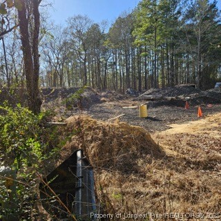 737 Vass Road Raeford, NC 28376 - Photo 3 of 10 a view of backyard with tree