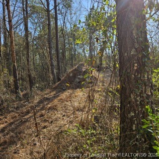 737 Vass Road Raeford, NC 28376 - Photo 4 of 10 a view of forest