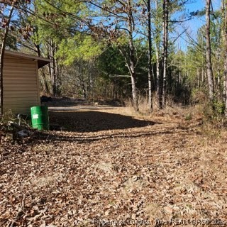 737 Vass Road Raeford, NC 28376 - Photo 5 of 10 a view of a yard with plants and large trees