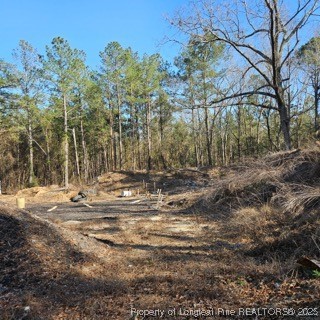 737 Vass Road Raeford, NC 28376 - Photo 6 of 10 a view of a yard with a tree