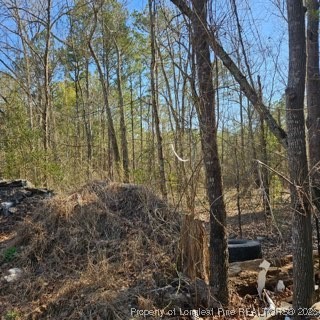 737 Vass Road Raeford, NC 28376 - Photo 7 of 10 a view of a yard with large trees