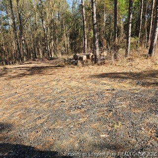 737 Vass Road Raeford, NC 28376 - Photo 8 of 10 a view of outdoor space with trees