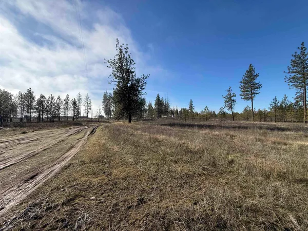 $83,500 | 7552 Kimberly Dr Way, Ford, WA 99013
