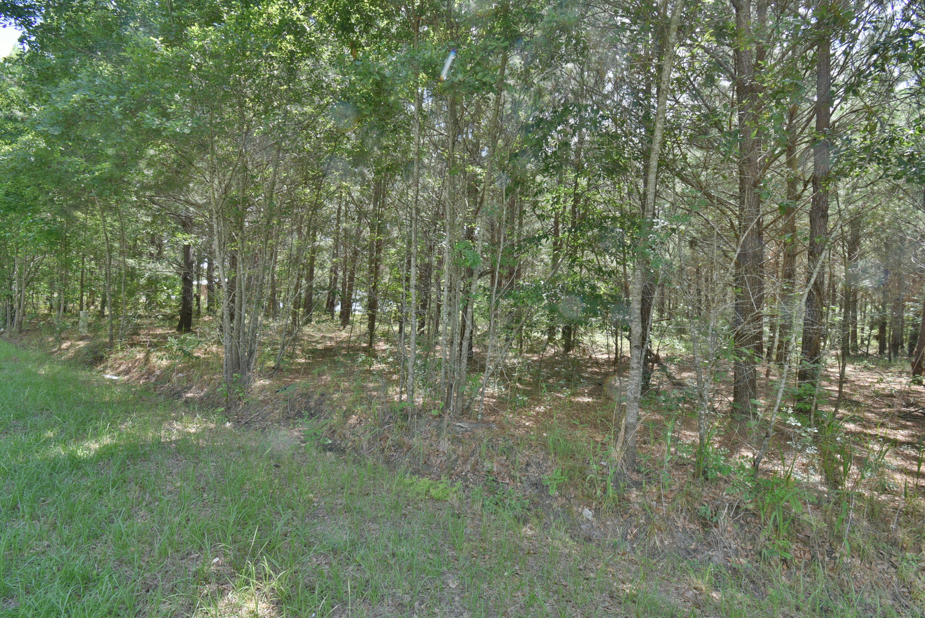 0 Infinger St. George, SC 29477 - Photo 3 of 7 DSC_0640