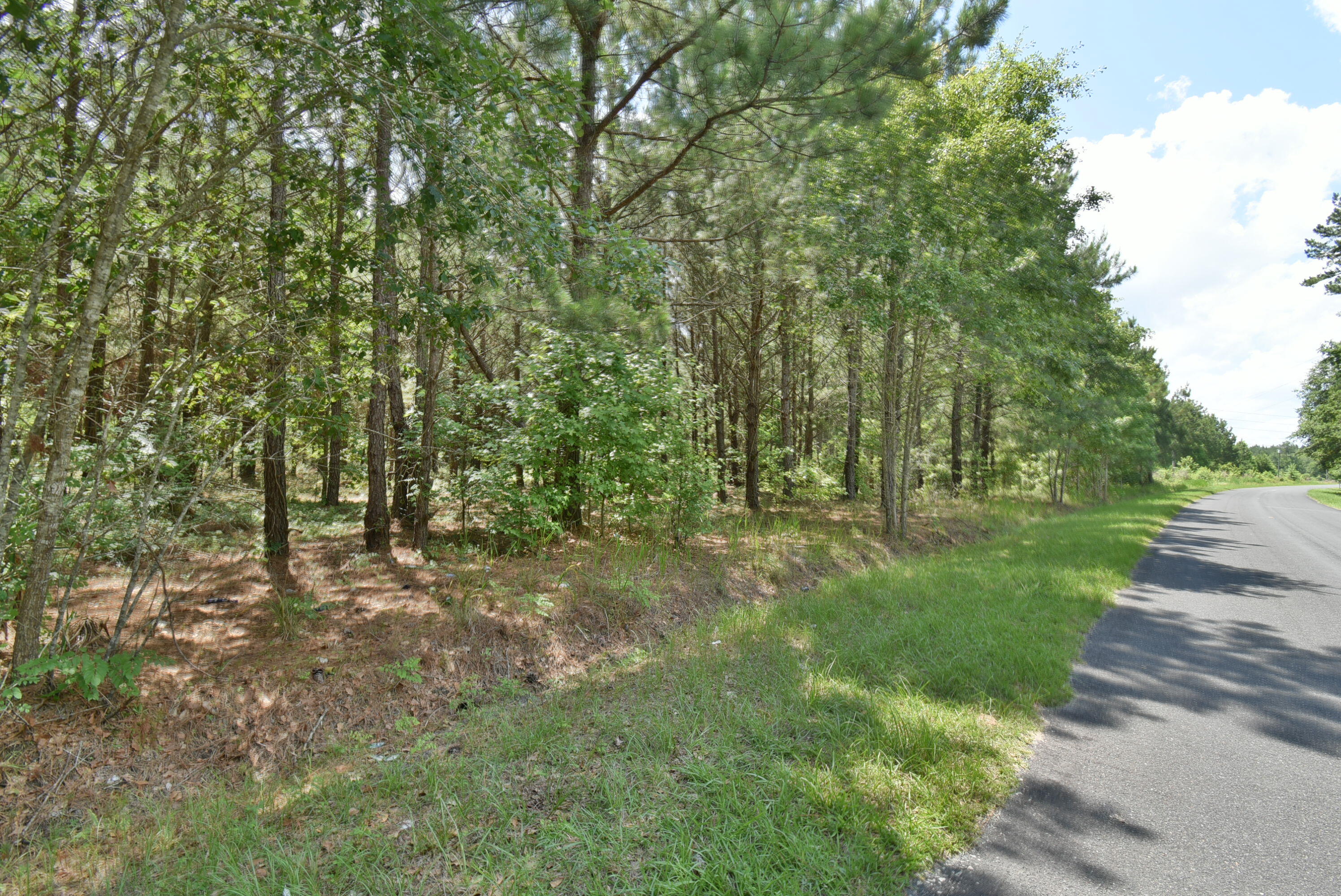 0 Infinger St. George, SC 29477 - Photo 5 of 7 DSC_0642