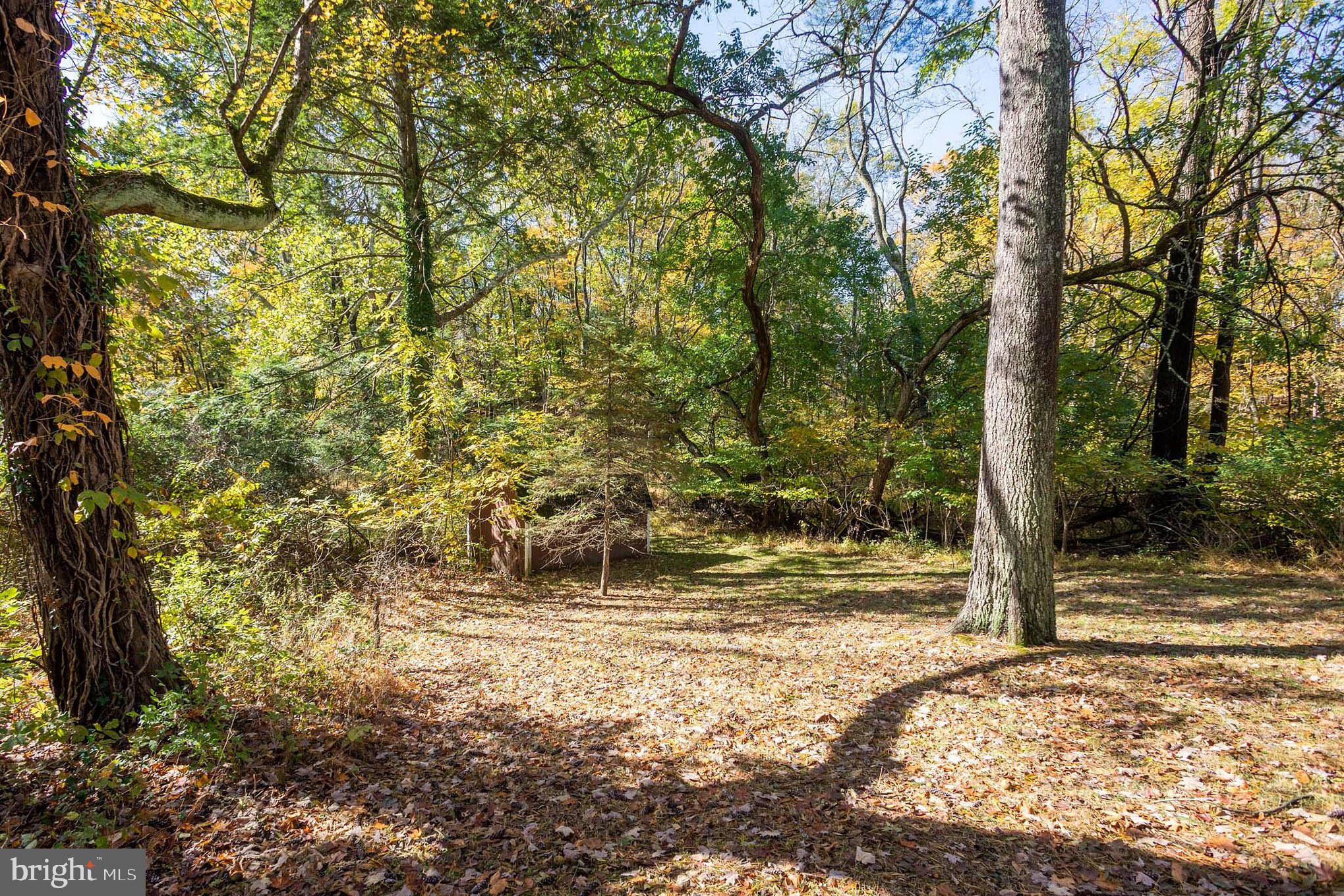 306 Pennington Harbourton Road Pennington, NJ 08534 - Photo 23 of 25 Gallery Image 23