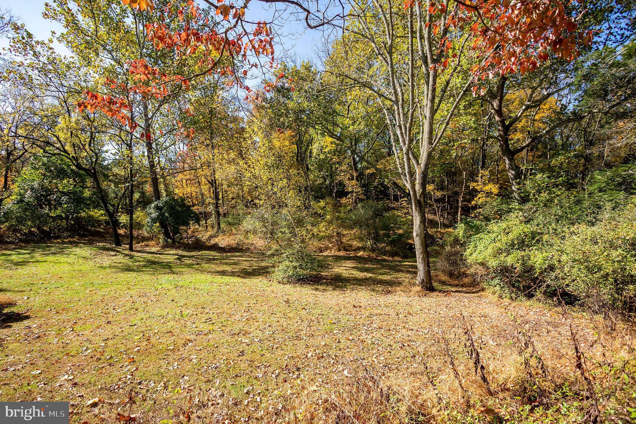 306 Pennington Harbourton Road Pennington, NJ 08534 - Photo 6 of 25 Gallery Image 6