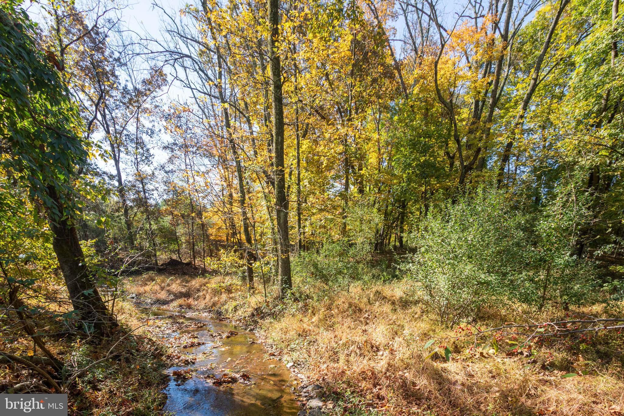 306 Pennington Harbourton Road Pennington, NJ 08534 - Photo 8 of 25 Gallery Image 8