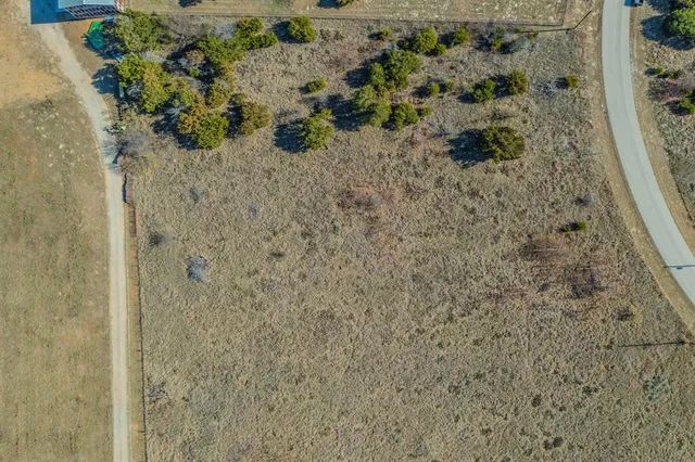 a close up of a plant