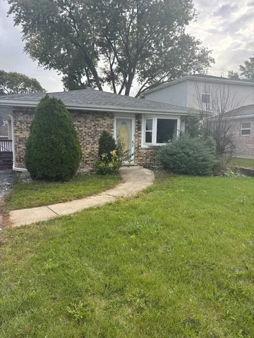 a view of a yard in front of a house with plants and large tree