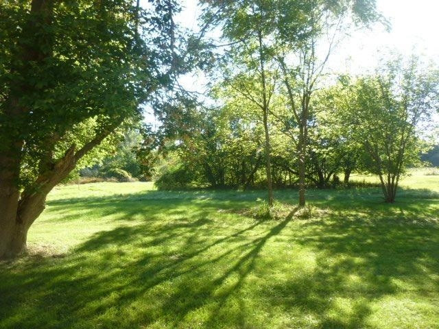 522 North Maple Road Saline, MI 48176 - Photo 3 of 10 Photo 3
