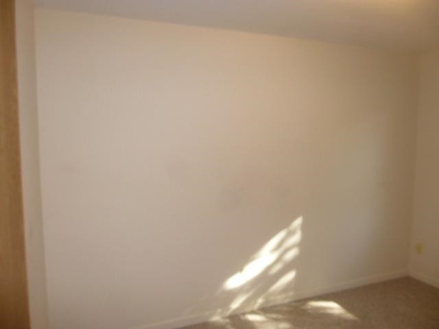 522 North Maple Road Saline, MI 48176 - Photo 6 of 10 Photo 6