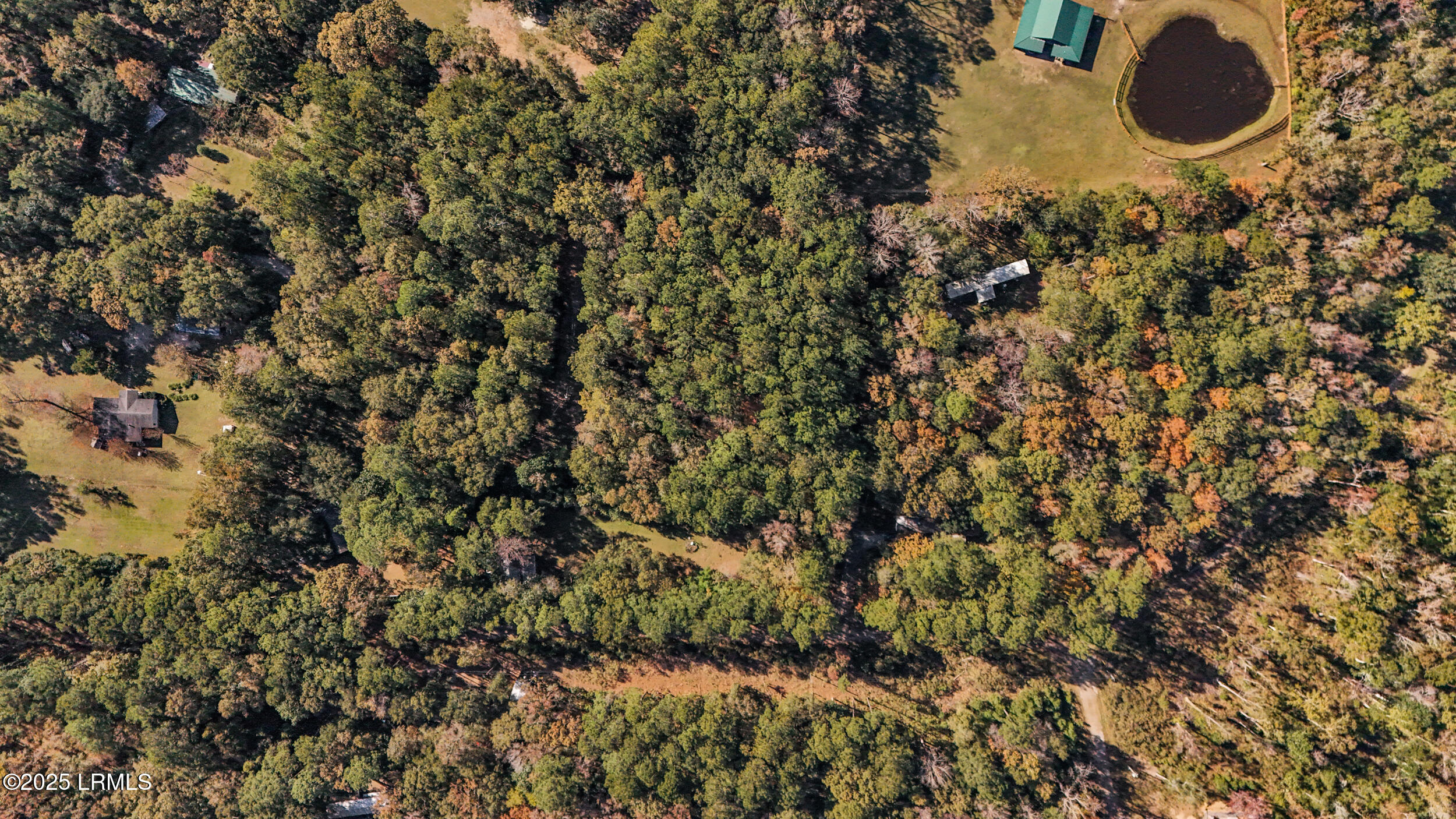 15_dji_20251112073117_0031_d