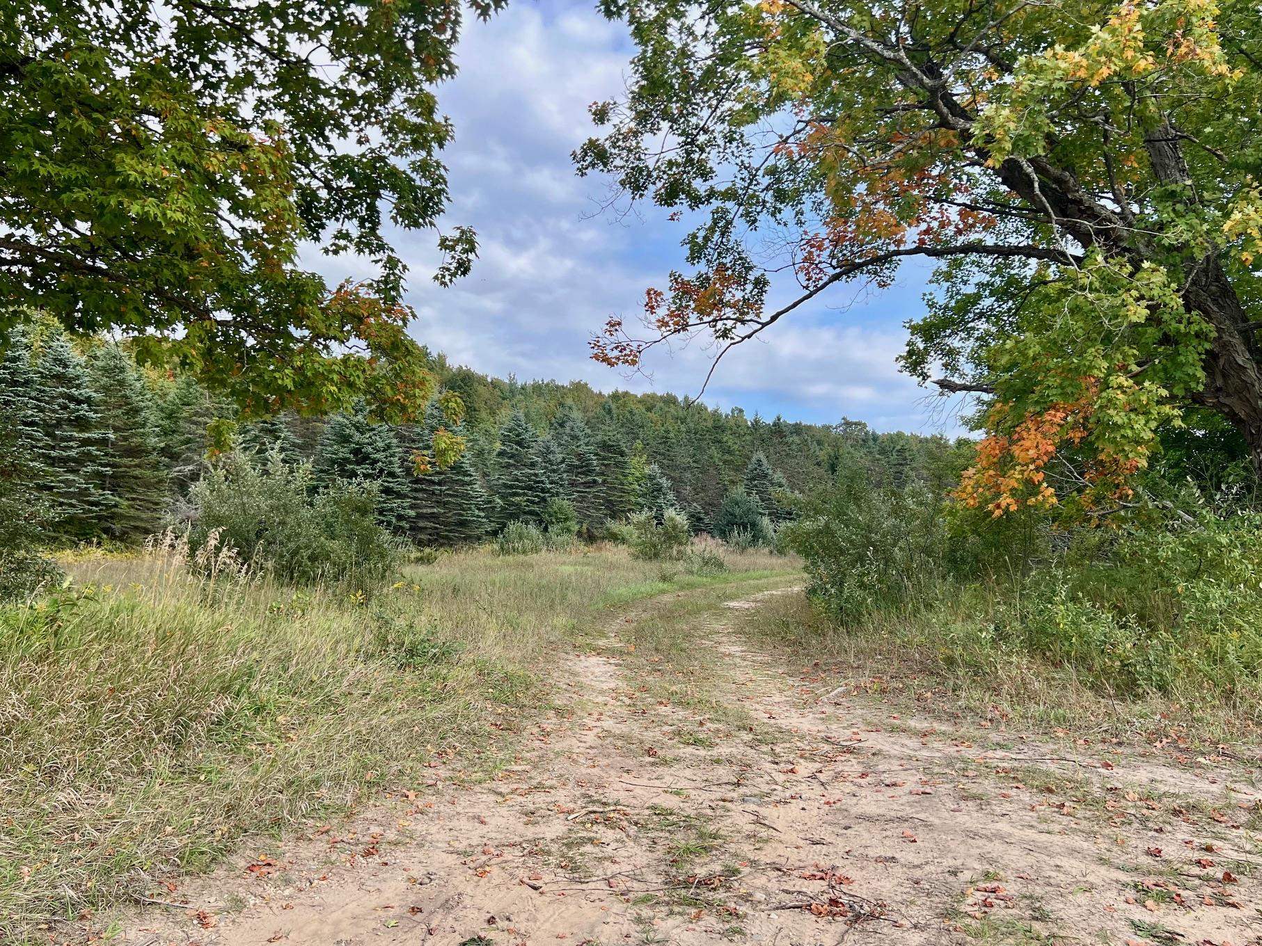0 Skinner Road Charlevoix, MI 49720 - Photo 13 of 15