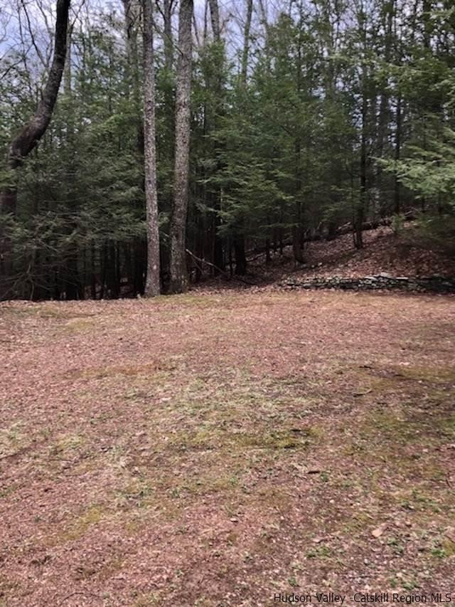 77 Buffalo Road Saugerties, NY 12477 - Photo 10 of 25 Photo 10