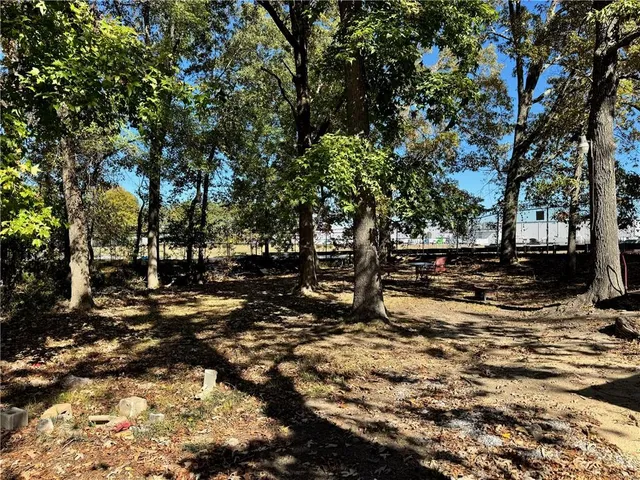 a view of a tree in the middle of a yard