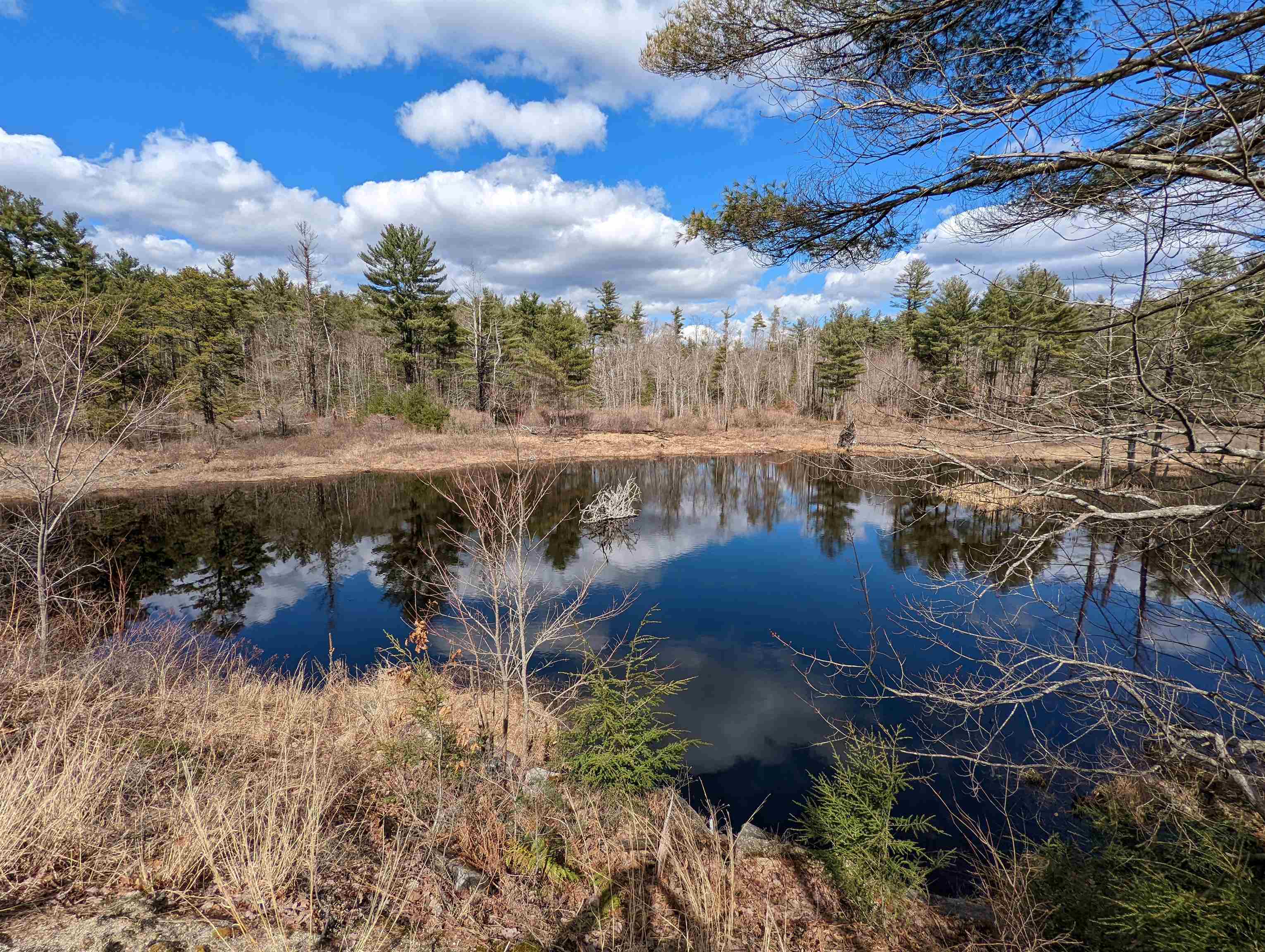 19 Forest Road Greenfield, NH 03047 - Photo 8 of 19