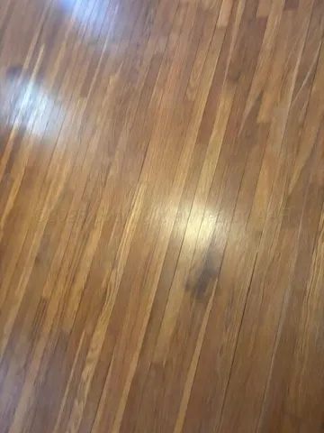 a view of outdoor space and wooden floor