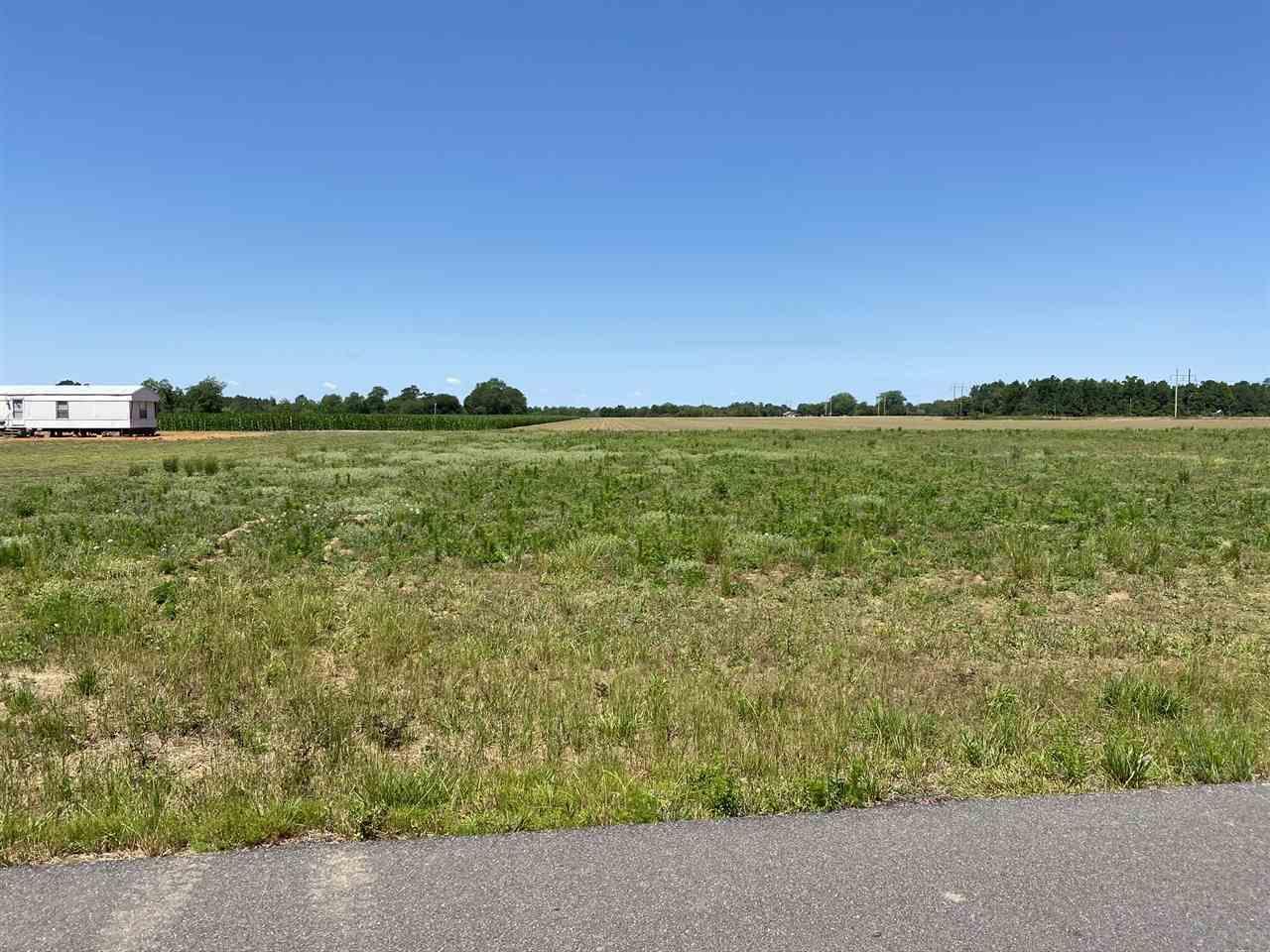 3045 Cowpen Creek Road Atmore, AL 36502 - Photo 3 of 7