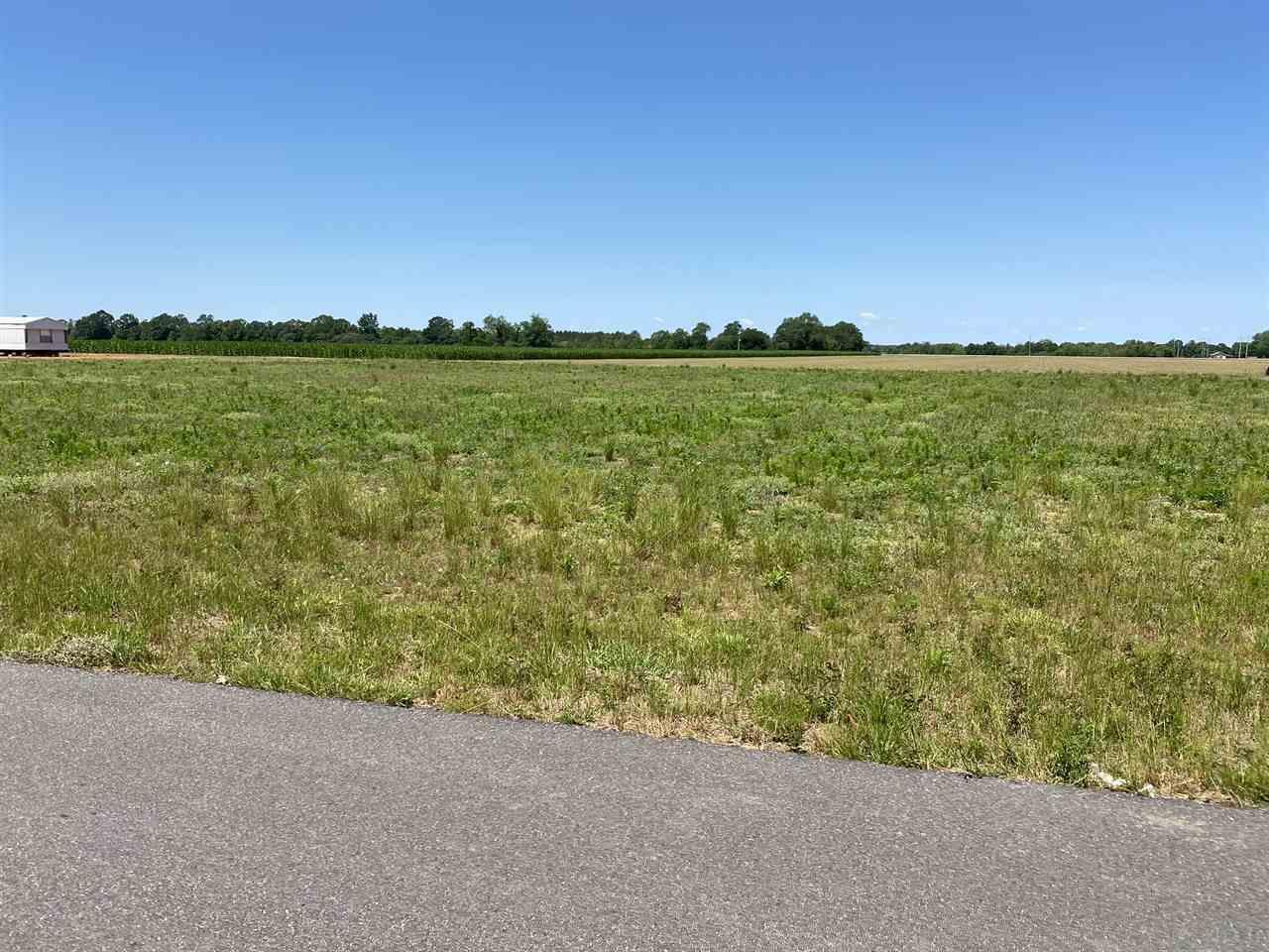 3045 Cowpen Creek Road Atmore, AL 36502 - Photo 4 of 7