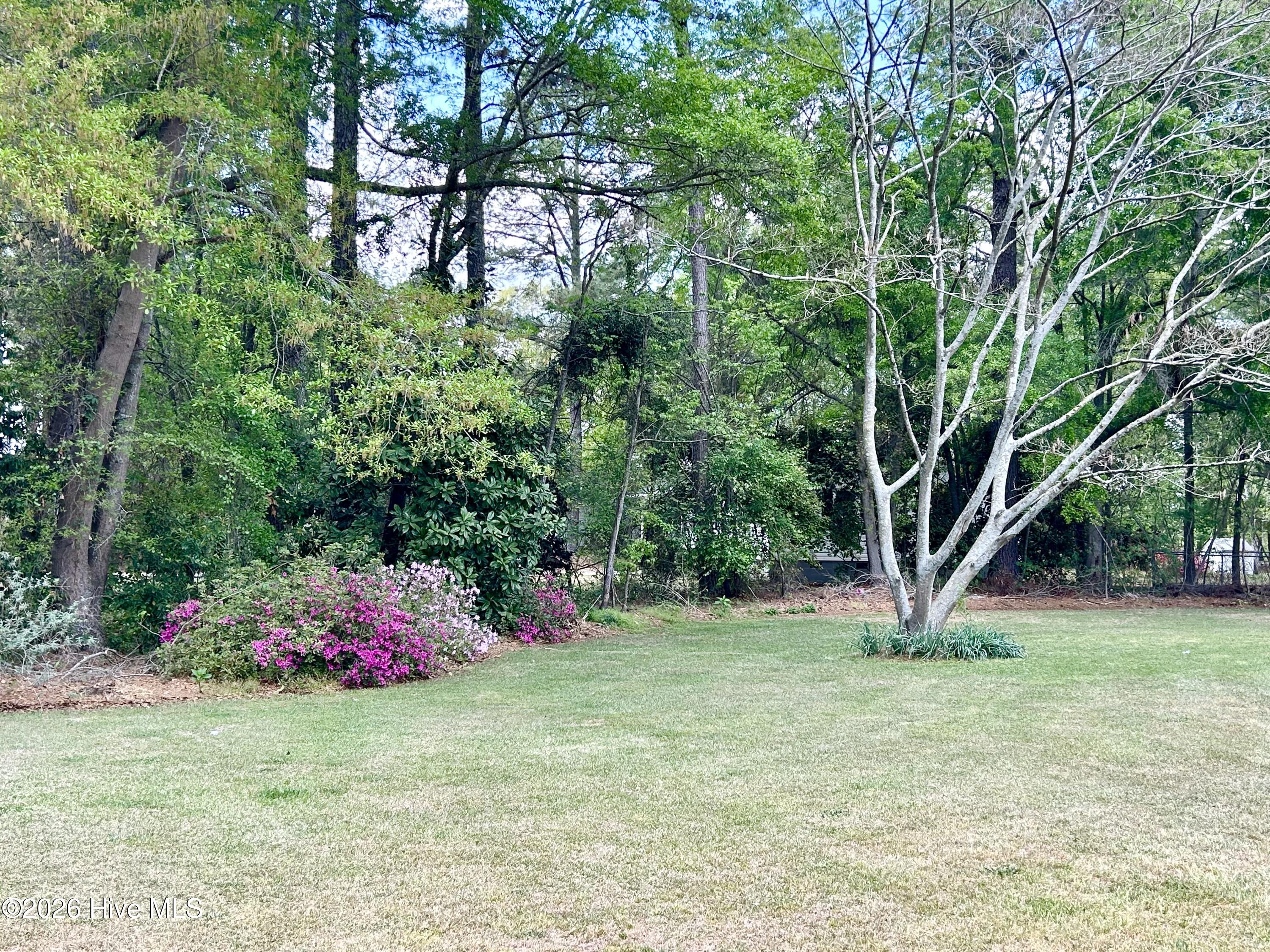 17881 Harry Malloy Road Laurinburg, NC 28352 - Photo 54 of 55 IMG_0703