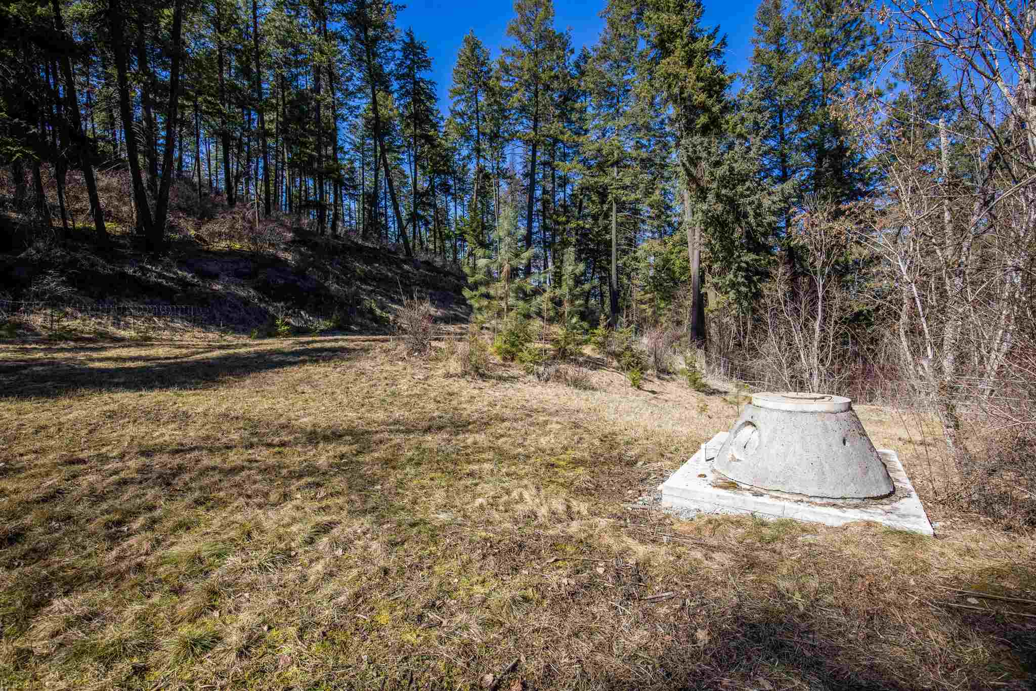 16909 North Dunn Road Mead, WA 99021 - Photo 2 of 6