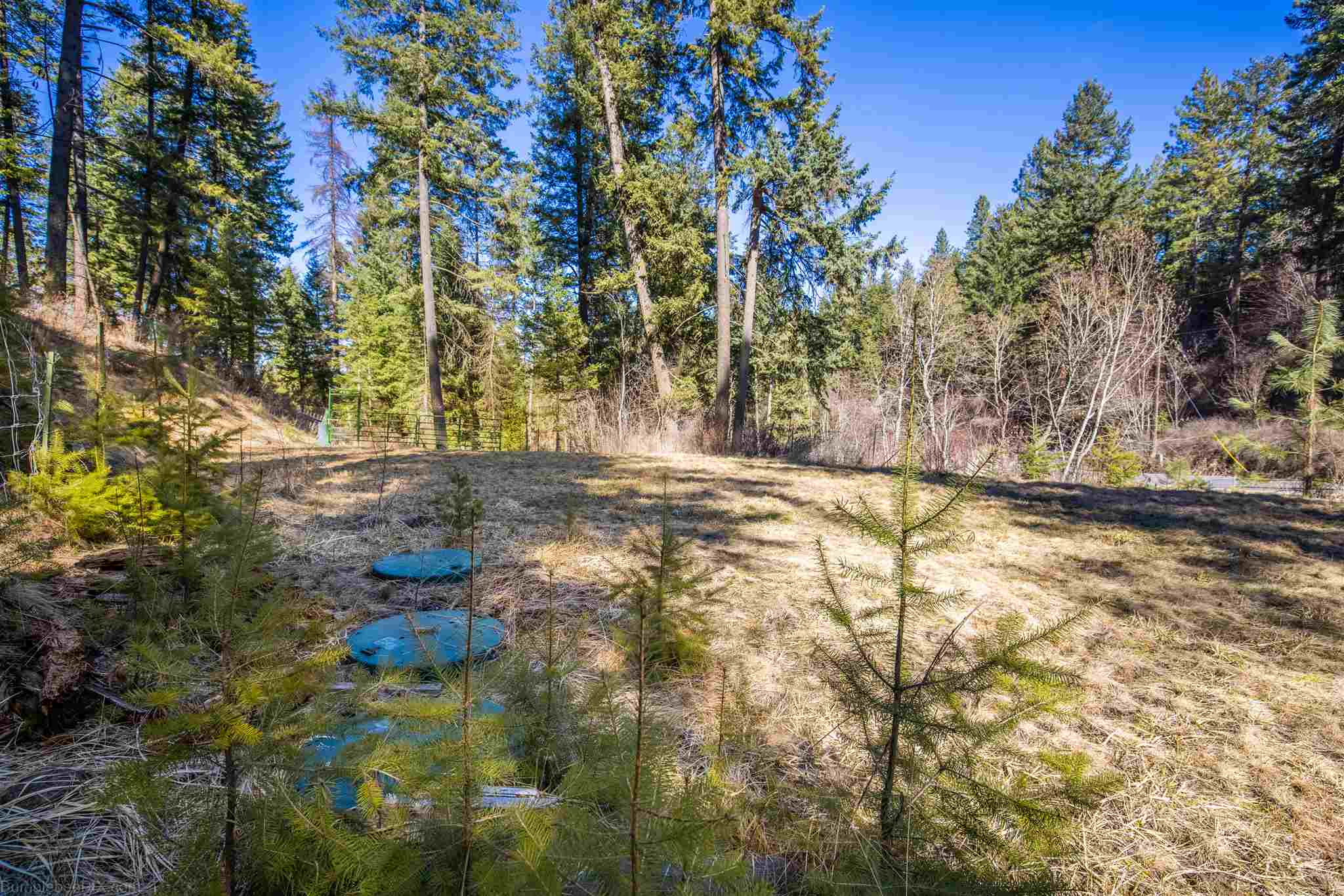 16909 North Dunn Road Mead, WA 99021 - Photo 3 of 6