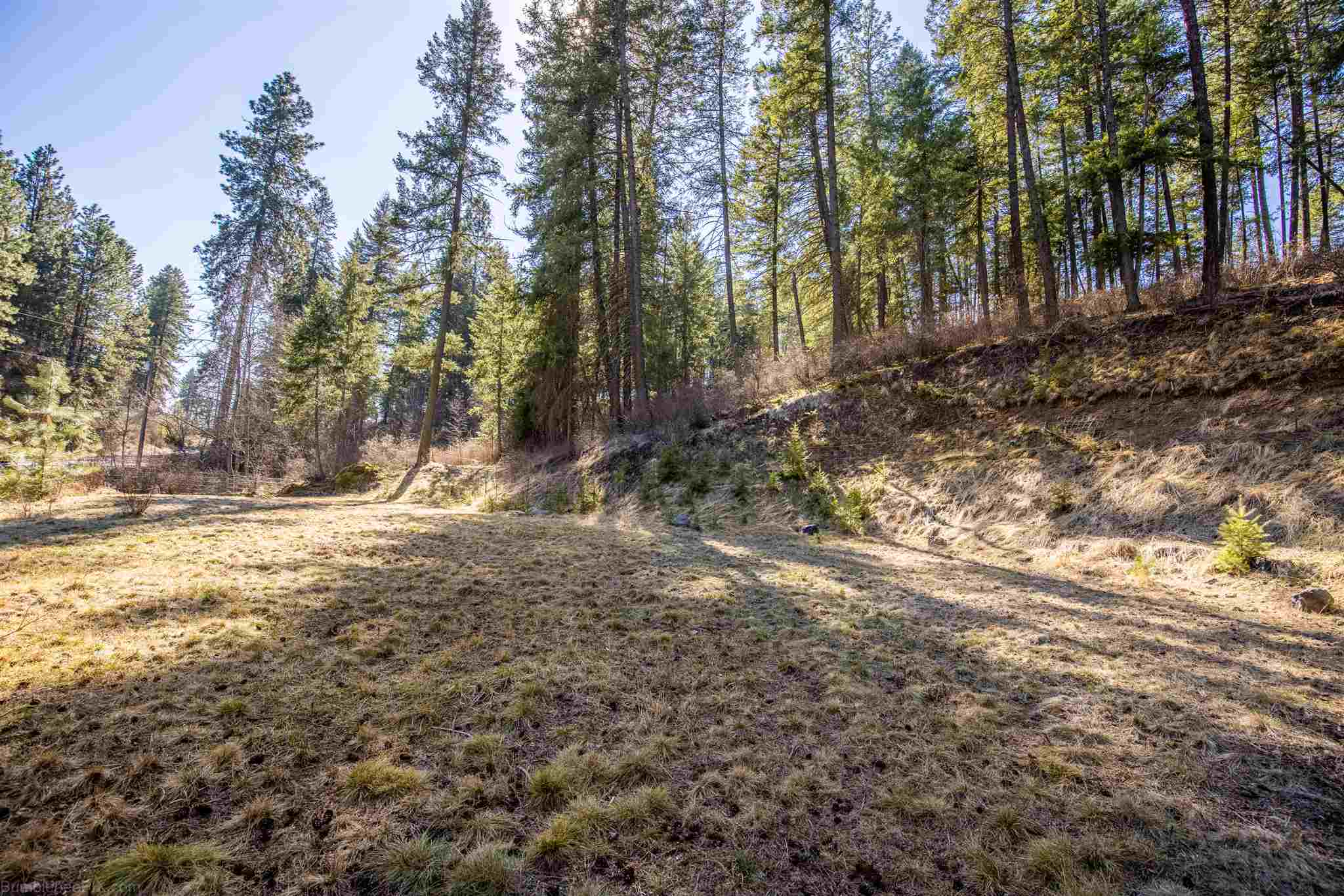 16909 North Dunn Road Mead, WA 99021 - Photo 4 of 6