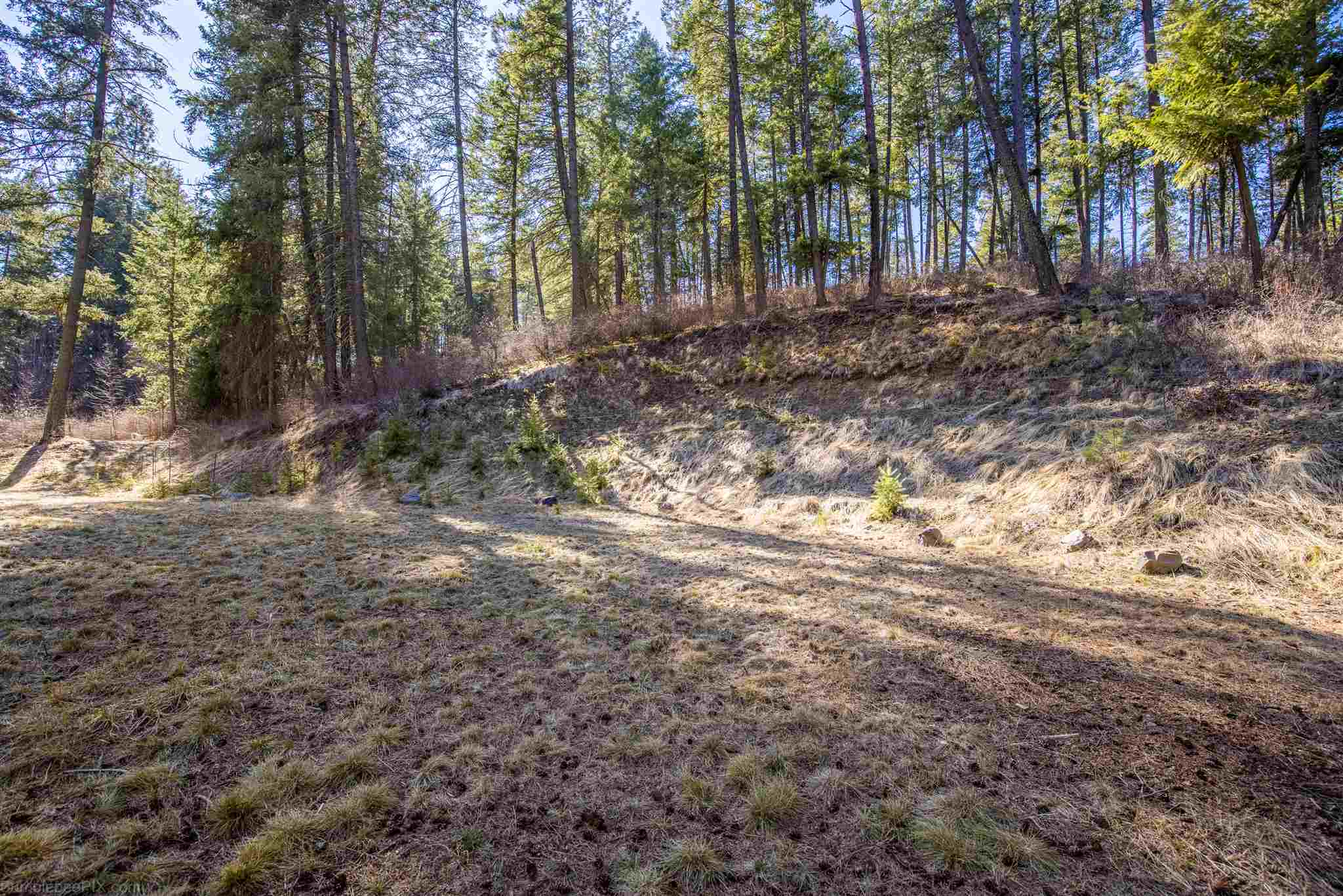 16909 North Dunn Road Mead, WA 99021 - Photo 5 of 6